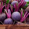 Test Beet Root 1Kg